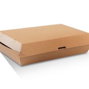 Family Pack/Brown Corrugated Plain/Brown 100pc/ctn