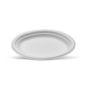 Sugarcane Oval Plate Large 500pc/ctn